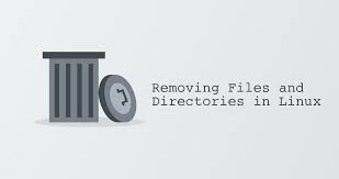 How to Delete All Files in a Linux Directory using Command Line